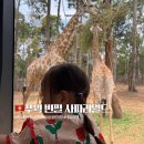 아이월드 | 푸꿕 빈펄 사파리월드 후기｜29개월 아이와 태교여행 + 준비물