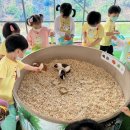 센트럴 곤충생태농장 이미지