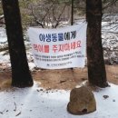 리릭스