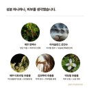 부강온천 | 고보습 윌라이프 사우나 릴렉싱 올인원 바디워시