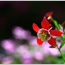 참좋은이웃 이미지