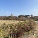 반촌1리마을회관 이미지