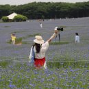 솔뫼목장 이미지