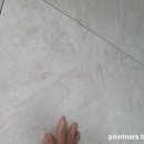 실크캐슬 이미지