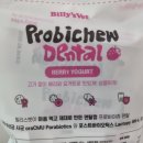 에스케이덴탈 이미지