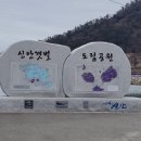 전라남도 신안군 안좌면 퍼플교 이미지