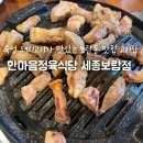 비소(보람)-일-4 | 보람동 맛집 고기집 한마음정육식당 세종보람점
