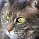 로얄동물병원 이미지