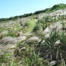 힐링나라 이미지