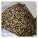 고창농산 | 유명농산 국산 햇 생들깨 통들깨 1kg 후기 — 고창군 2025년산의 진한 고소함을 직접 느껴봤어요