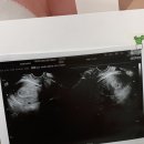 우종진산부인과의원 이미지