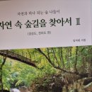 자연 속 숲길을 찾아서 2 (경상도, 전라도 편) - 임석원 지음 이미지