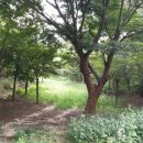 전원부동산중개인사무소 이미지