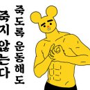 오마이핏 헬스장 이미지