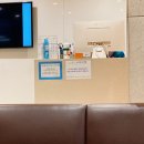 봄내랑내과의원 | [난임일기] 대전마리아병원 "두번째 방문" -> 속속봄 내과 (간수치피검사)