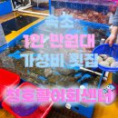 활어회시장원당점 | 속초 | 1인 만 원대 가성비 횟집 대게 집 :: 수협 청호활어회센터 새양호 내돈내산 후기