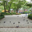 뒷구미 어린이공원 이미지