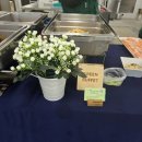 그린출장뷔페 이미지