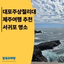 주상절리대 | 대포주상절리대 제주여행 코스 추천! 감동한 서귀포 명소 🌊