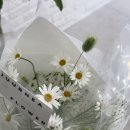 쥬레아플라워 이미지