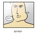 물고기412 이미지