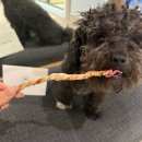 호이해이 이미지