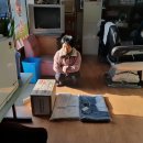 논공하나뉴마트 Daum카페