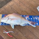 해성피싱 이미지