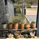 초안산도자기체험장 이미지