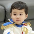 팔사일일
