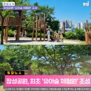 장성읍 시가지2 이미지