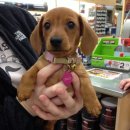 멍이사랑 이미지