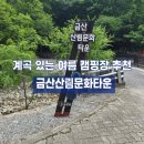 금산산림문화타운캠핑장 | 금산산림문화타운 계곡 있는 캠핑장 여름 캠핑장 추천