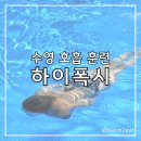 폭시 - 군산시 신지길 29 | 수영 하이폭시 훈련 장단점 | 자유형 호흡 훈련 루틴 후기