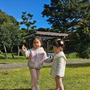 🍇국립제주박물관 견학✨ 이미지