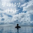 로얄카인테리어 | 괌 리가로얄 라구나 리조트 호텔 인피니티풀 오션뷰 수영장 숙소 추천