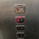 성민빌딩 | 하루리뷰_구로요가 찾는다면? 늘요가원 구디 방문 후기