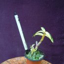 서하농장 이미지