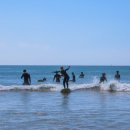 땅콩상회 이미지