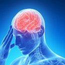 자연생명대체의학 이미지