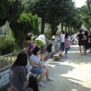 괘법초등학교 이미지