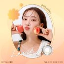 으뜸50 안경 응암점 이미지