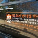 펫120 이미지