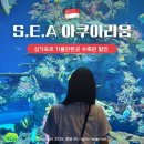 싱가포르 여행 센토사 가볼만한곳 아쿠아리움 입장권 티켓 할인
