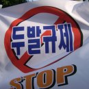 두발자유 - 서구 | 두발자유