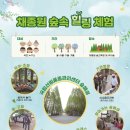 숲속힐링