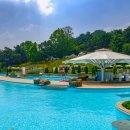 테르메덴 이미지