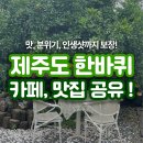 [제주도 한바퀴 코스 1탄] 6박 7일 여행코스 좋았던 맛집과 카페 공유해요!