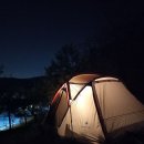 쎄븐푸드 용인대리점 네이버블로그