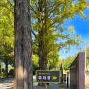 메타세쿼이어길 화장실 | 진안 부귀 메타세쿼이어길 산책 후기 │ 마이산 여행 코스에 함께 넣기 좋은 전북 드라이브 명소